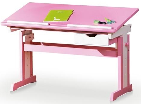 biurko rególowane CECILIA dla dzieci dla dziecka sosnowe nowość  salon sklep meblowy meble